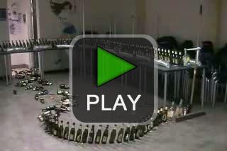 lustige videos