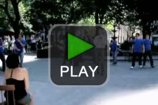 lustige videos