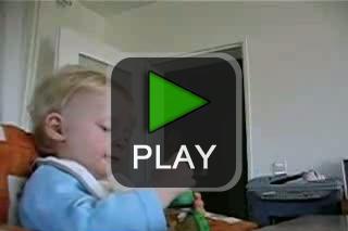 lustige videos