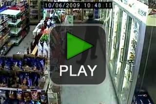 lustige videos