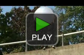 lustige videos