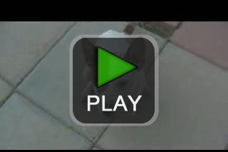 lustige videos