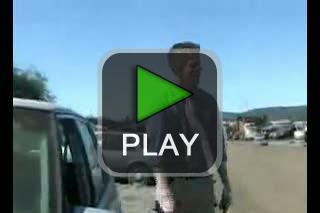 lustige videos