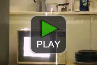 lustige videos