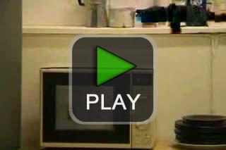 lustige videos