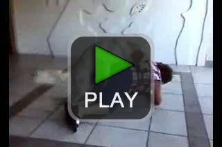 lustige videos
