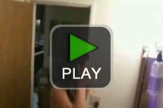 lustige videos