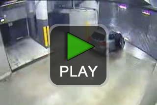 lustige videos