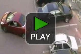 lustige videos