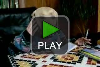 lustige videos