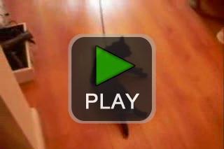 lustige videos
