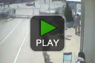 lustige videos