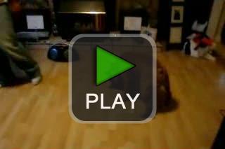 lustige videos