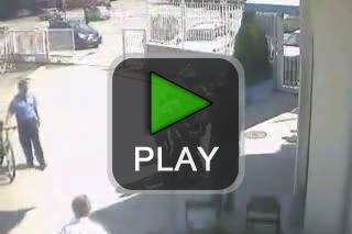 lustige videos