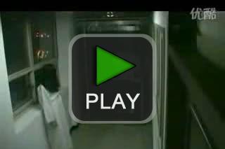 lustige videos