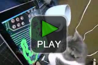 lustige videos