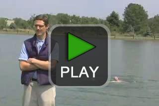 lustige videos