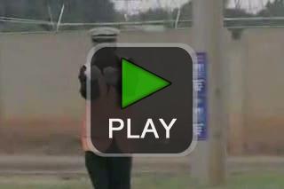 lustige videos