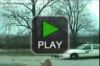lustige videos