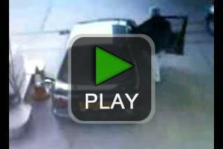 lustige videos