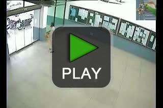 lustige videos