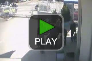 lustige videos