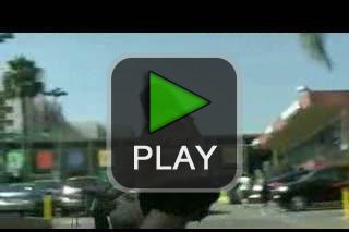 lustige videos